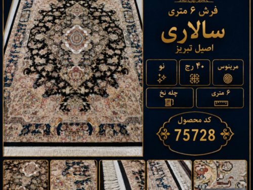 فرش دستبافت 6 متری سالاری 40 رج - کد 75728